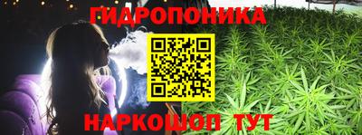 хмурый Гай