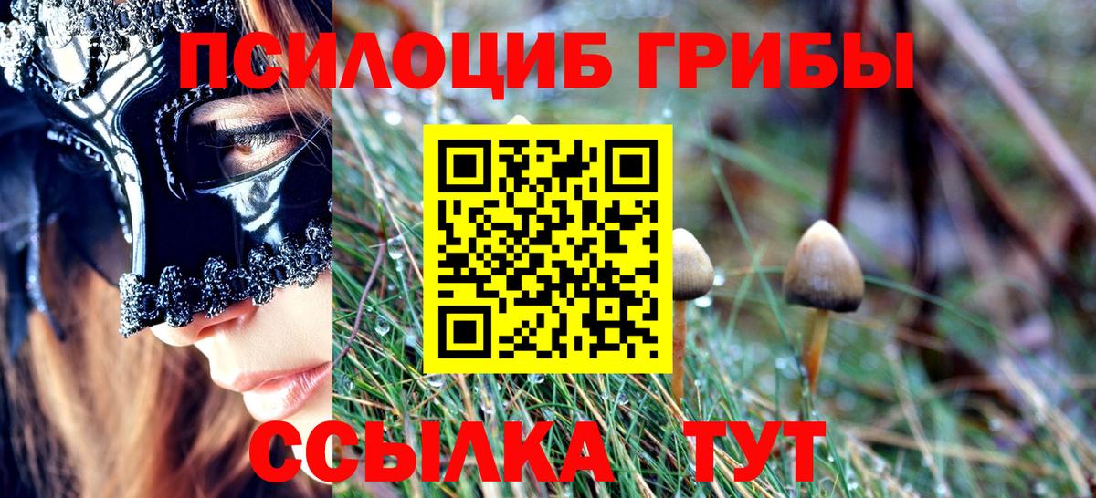 Псилоцибиновые грибы GOLDEN TEACHER Сальск