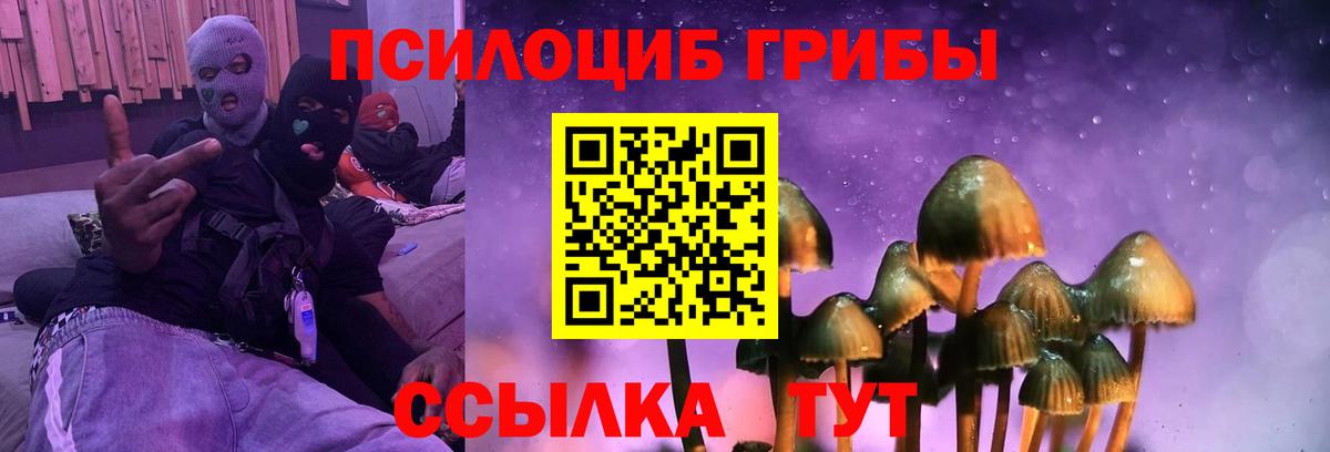 Сальск  Псилоцибиновые грибы прущие грибы  Вход с VPN  где найти наркотики  Галлюциногенные грибы Magic Shrooms 
